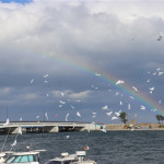 虹を渡り思いよ届け　風船１３０個を大空に　名取・閖…